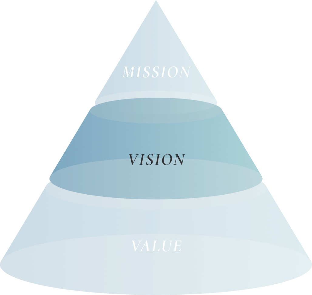 VISION